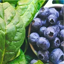 quercetin-plant